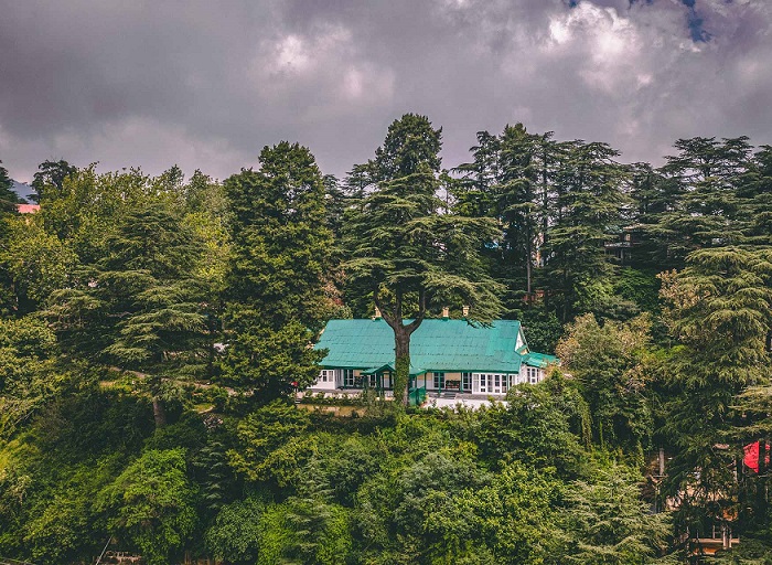 Shimla