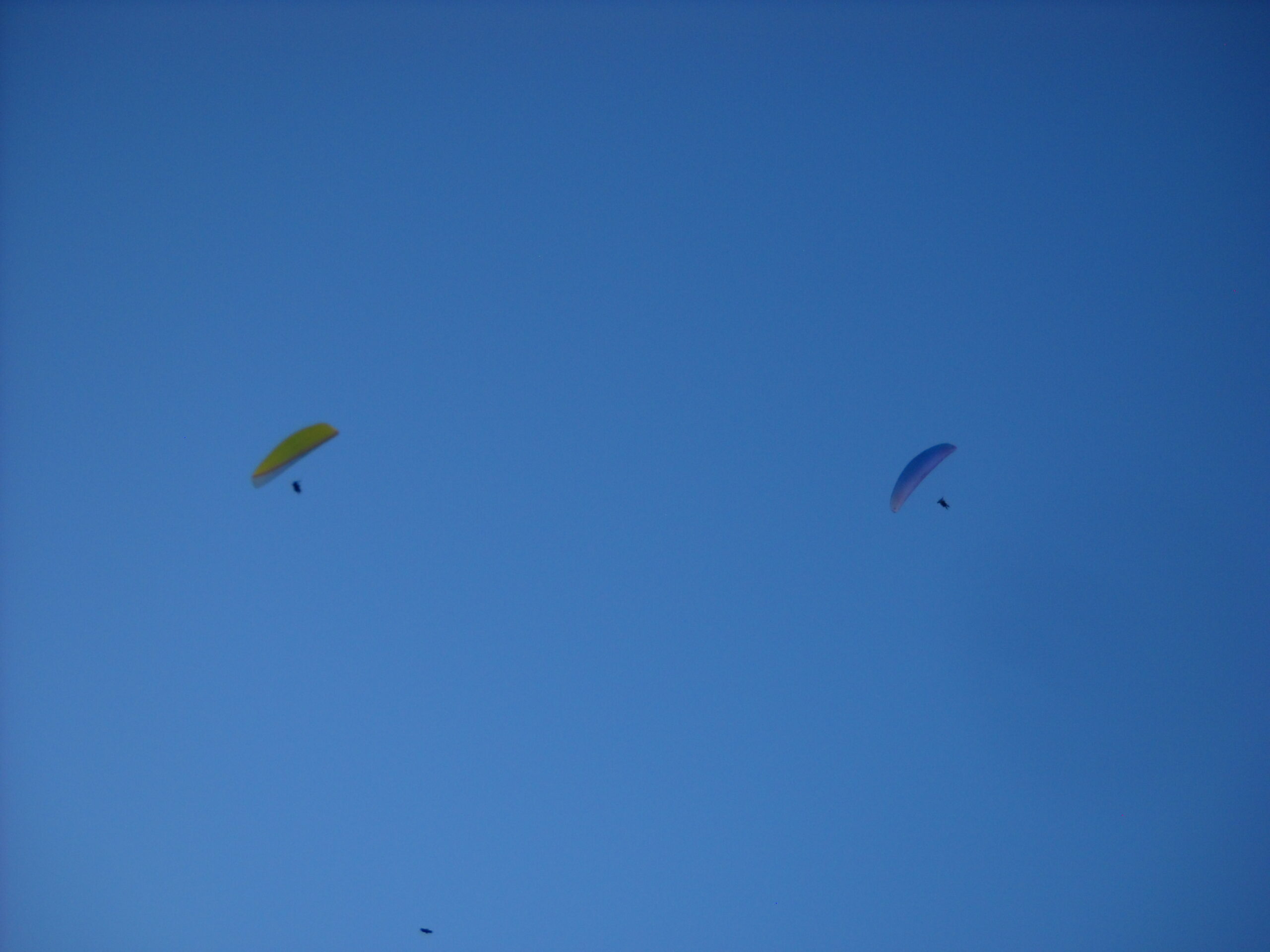 Paragliding in Dobhi offer - Image 3